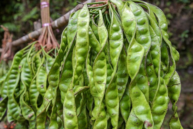 Foto prossimo piano delle verdure al mercato