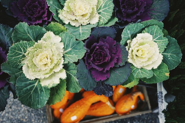 Close-up of vegetables for sale at market stall