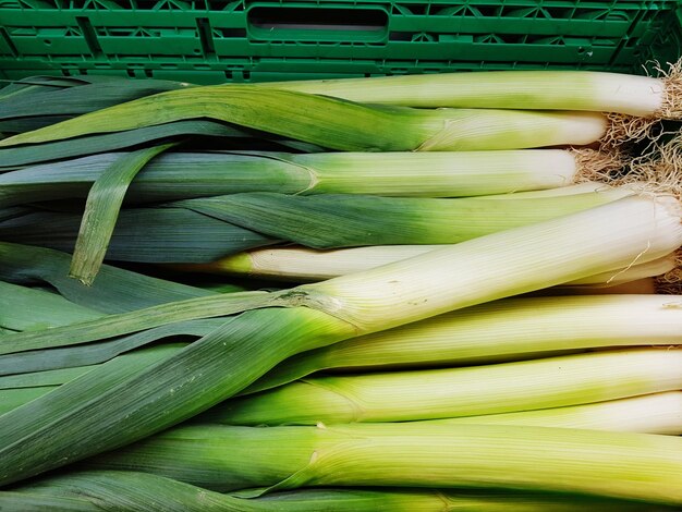 Close-up of vegetables