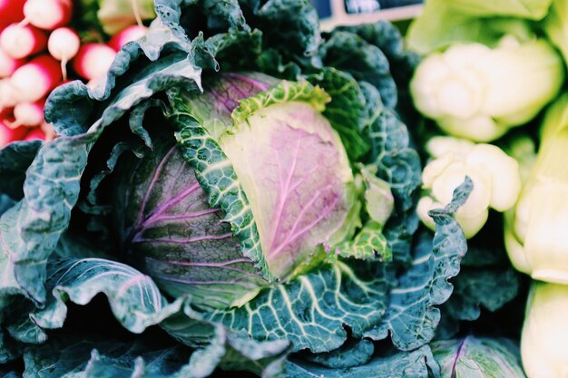 Photo close-up of vegetables