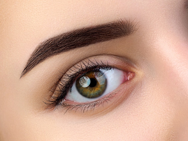 Close up view of beautiful brown female eye. Perfect trendy eyebrow. Good vision, contact lenses, brow bar or fashion eyebrow makeup concept