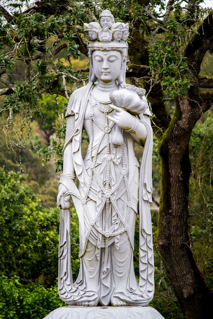 Close up view of a beautiful Buddha statue on a park.