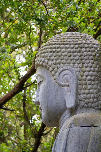 Close up view of a beautiful Buddha statue on a park.