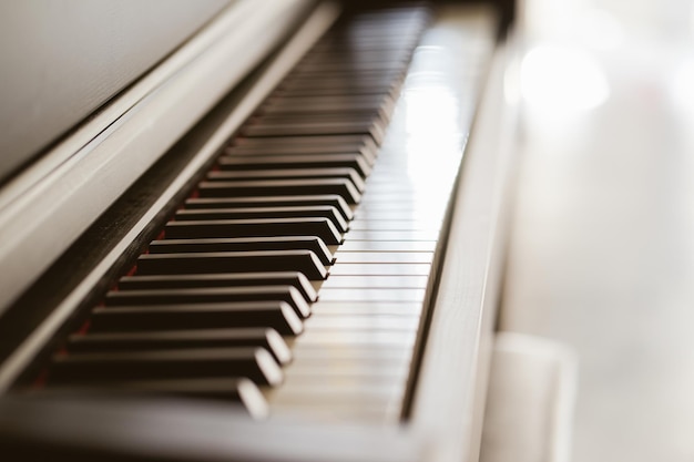 Close up view of black piano keys selected focus