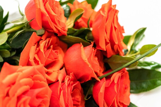 Close up view. Bouquet of red on a white background.