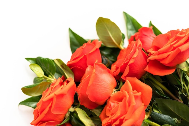 Close up view. Bouquet of red on a white background.