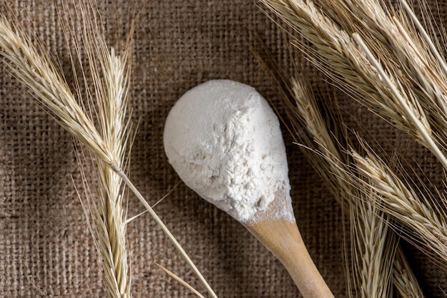 close up view of flour in wooden spoon and wheat on sackcloth