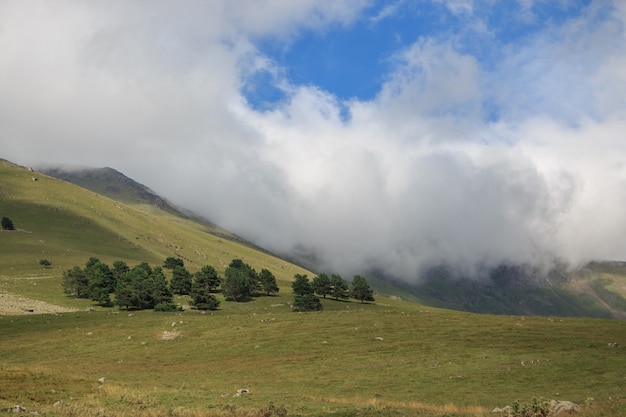 Close up view forest and mountains scenes in national park Dombai, Caucasus, Russia, Europe. Summer landscape, sunshine weather, dramatic blue sky and sunny day