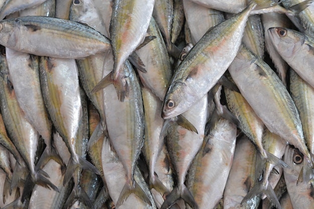Крупным планом вид свежей рыбы, продающейся на рынке