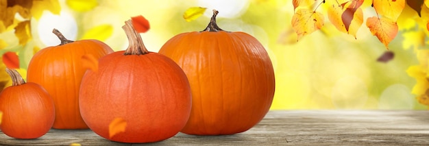 Close up view of fresh pumpkin at wooden background