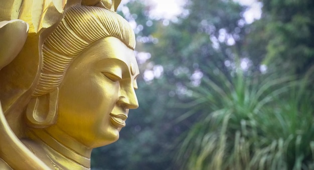 Photo close up view of gautam buddha face