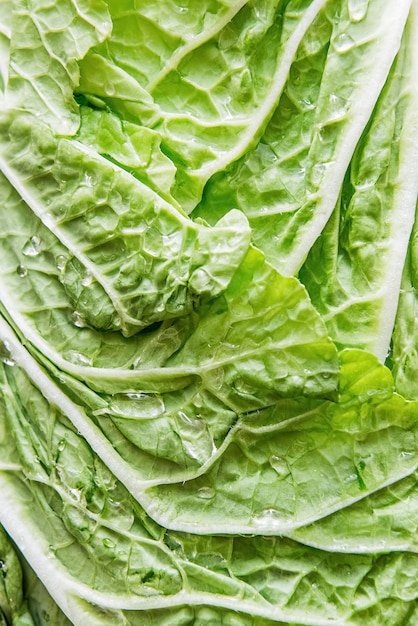 Close-up view of a green savoy cabbage leaf. Macro picture of a fresh vegetable forming a natural texture