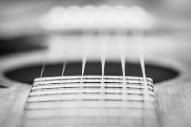 Close-up view of guitar strings