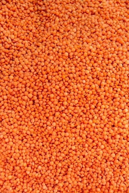 Close-up view of a heap of red lentil