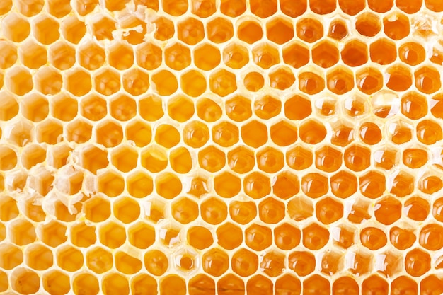 Close up view of honeycomb as 