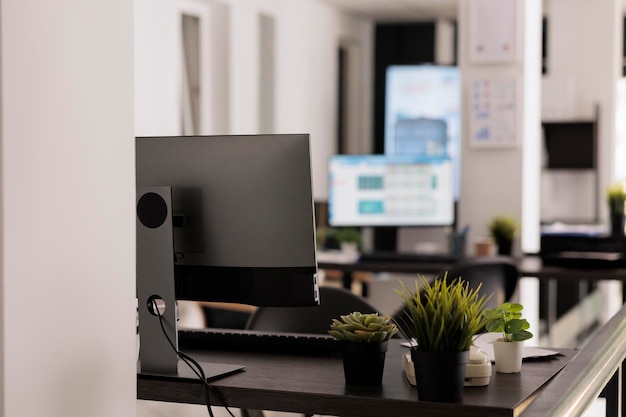 Foto vista ravvicinata delle piante da interno come parte della decorazione di un moderno ufficio di coworking. postazioni di lavoro non presidiate con computer desktop sul tavolo, all'interno del concetto di posto di lavoro.