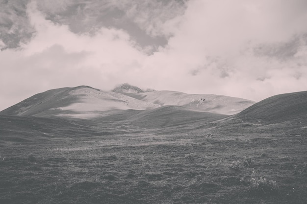 Foto vista ravvicinata scene di montagna nel parco nazionale di dombai, nel caucaso, in russia, in europa. paesaggio estivo, tempo soleggiato, cielo azzurro drammatico e giornata di sole