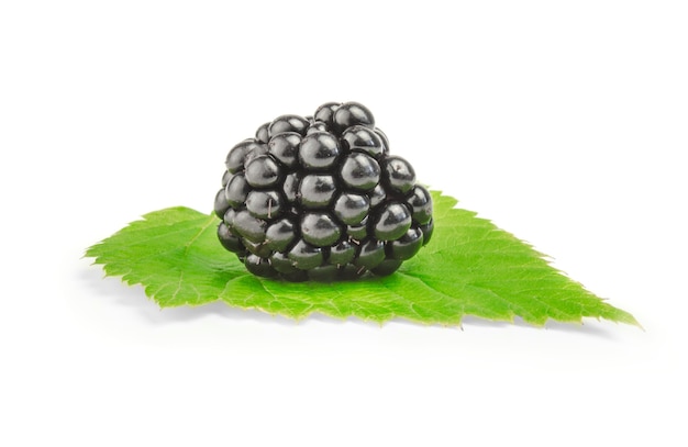 Close up view of nice fresh blackberry on green leaf isolated on white