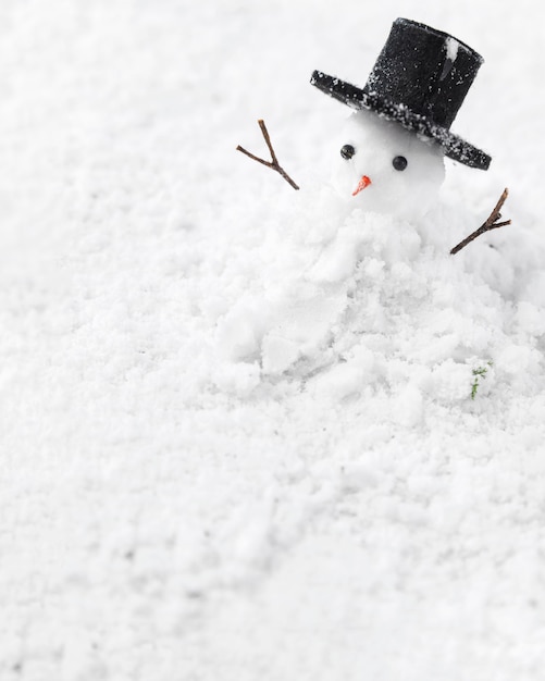 写真 雪だるまの概念の拡大図