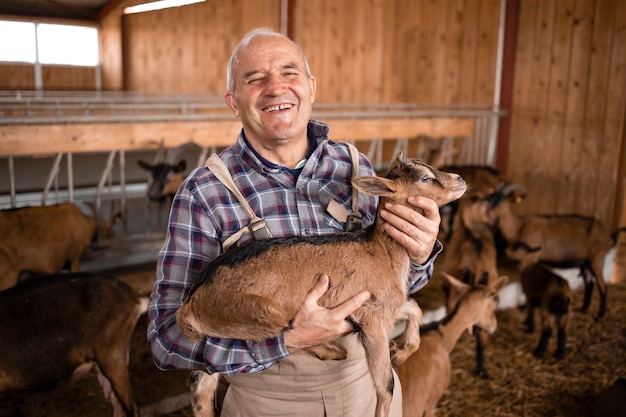 Vista ravvicinata di un anziano lavoratore agricolo o allevatore di bestiame che tiene capretto in fattoria