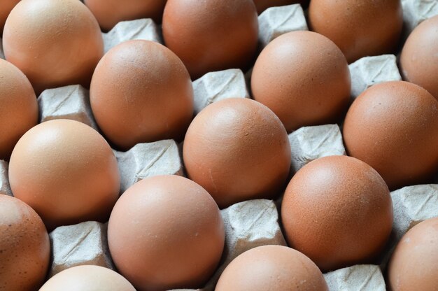 Photo close up view of organic chicken eggs in the paper tray