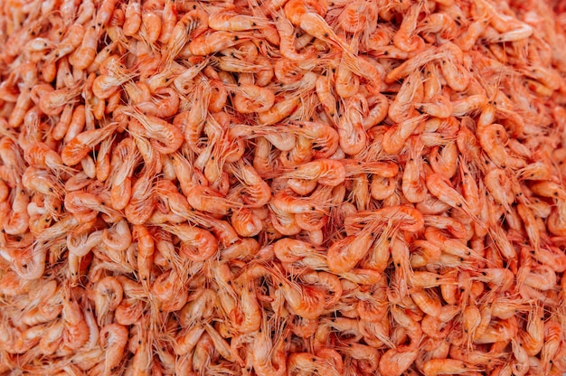 Close-up view of a pile of fresh little shripms