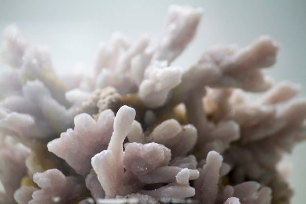 Foto chiuda sulla vista di un minerale rosa e bianco di rhomboclase.