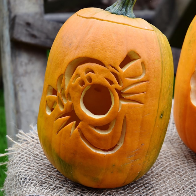 Close-up view of pumpkin pumpkins