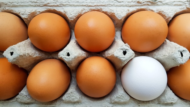 Close up view of raw chicken eggs in an egg box.