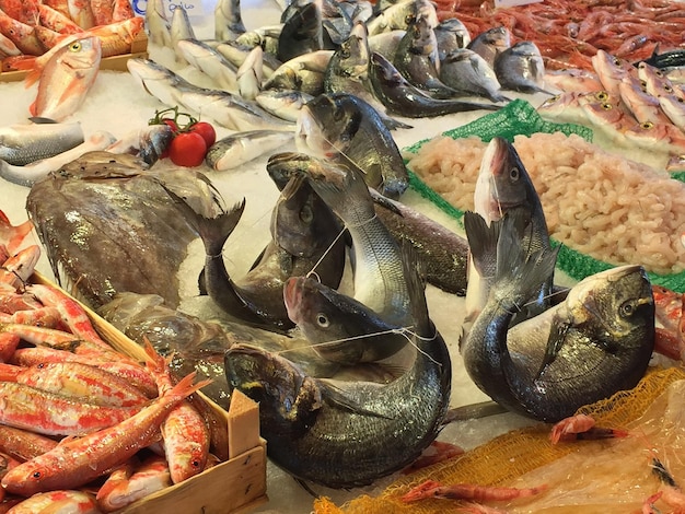 close-up view of seafood