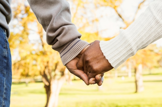 Close up view of senior couple holding hands