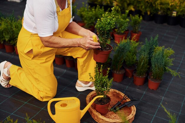 Close up view Senior woman is in the garden at daytime Conception of plants and seasons