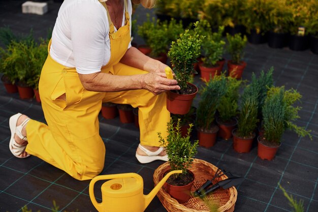 Close up view Senior woman is in the garden at daytime Conception of plants and seasons