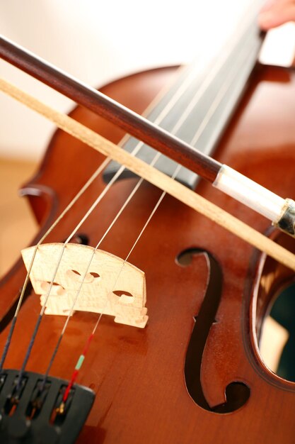 Photo close up view on violin's play