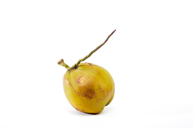 Close up view of whole fresh coconut