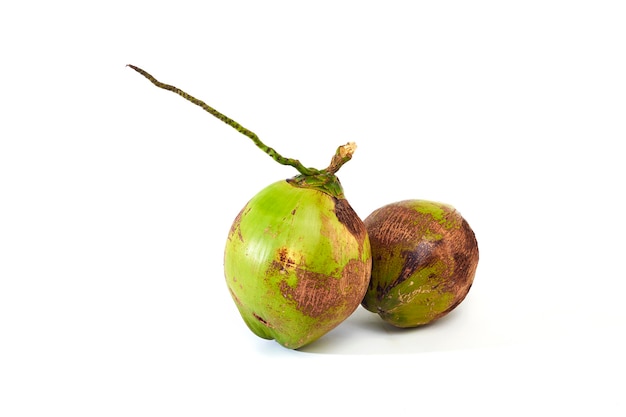 Close up view of whole fresh coconuts