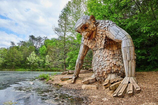 Close up view of Wood giant Little Nis looking at lake shore with lush green forest background