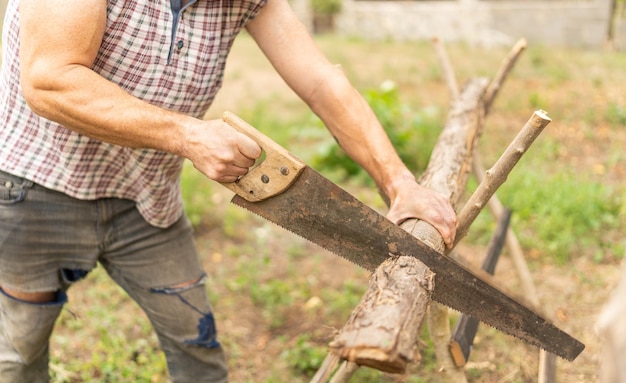 Close up view of a woodcutter chopping a log