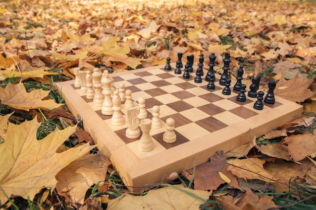 Close-up view of wooden chessboard and pieces on the ground covered with dry yellow leaves. Focus on white pieces.