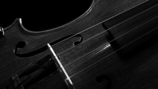 Photo close up to violin in black and white