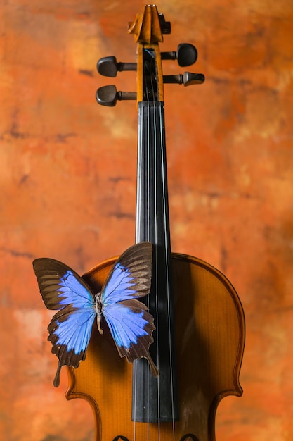 Foto close-up di violino e farfalla blu su uno sfondo rustico