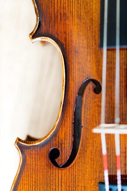 Foto prossimo piano del violino