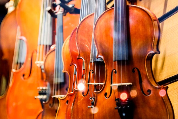Foto close-up di violini in vendita in un negozio