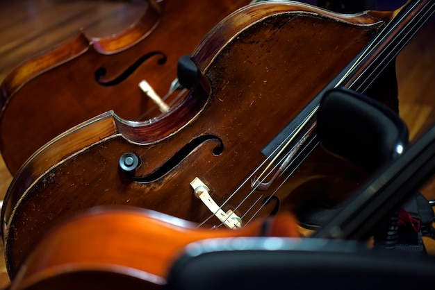 Close up of violoncello instruments