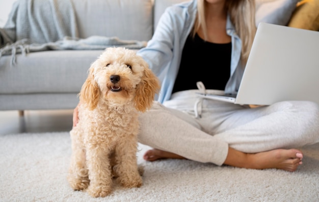 Foto close-up vrouw die werkt met pet