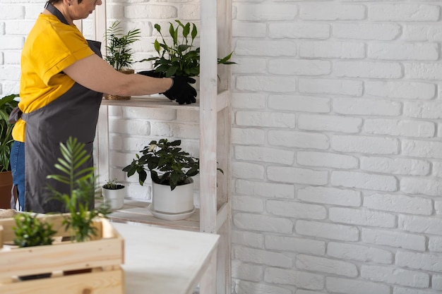 Close-up vrouw tuinman verplanten plant in keramische potten op witte houten tafel kopie ruimte Concept van huis tuin Lentetijd Stijlvol interieur met veel planten Het verzorgen van huisplanten