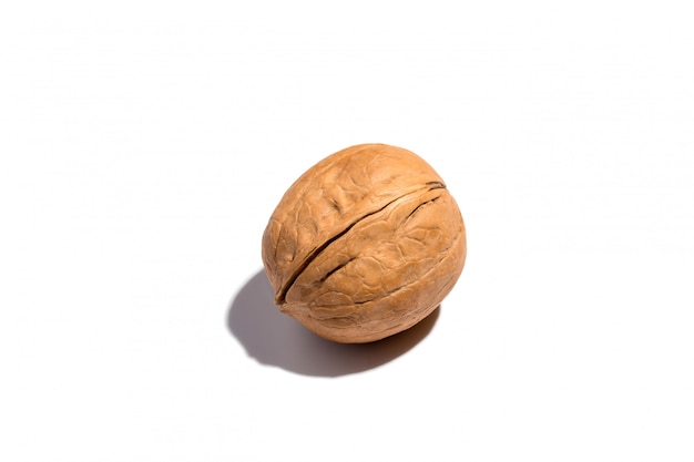 Close-up of a walnut on a bright background