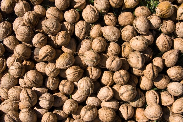 Close up of walnuts pile