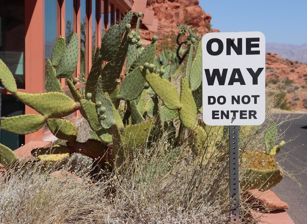 Photo close-up of warning sign on cactus in death valley