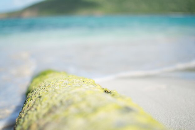 Close-up of water on beach